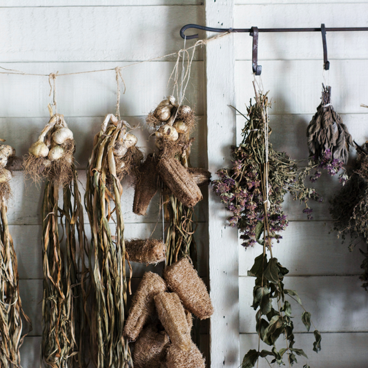 The Power of Nature: Exploring the Healing Benefits of Herbs